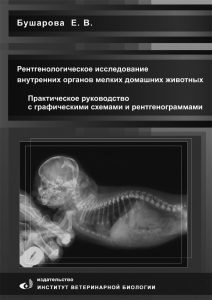 Рентгенологическое исследование мелких домашних животных 