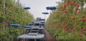 Flying autonomous gardening robots 