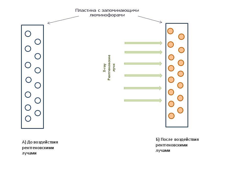 Пластина покрытая люминофором для преобразования рентгеновского изображения 5 букв сканворд